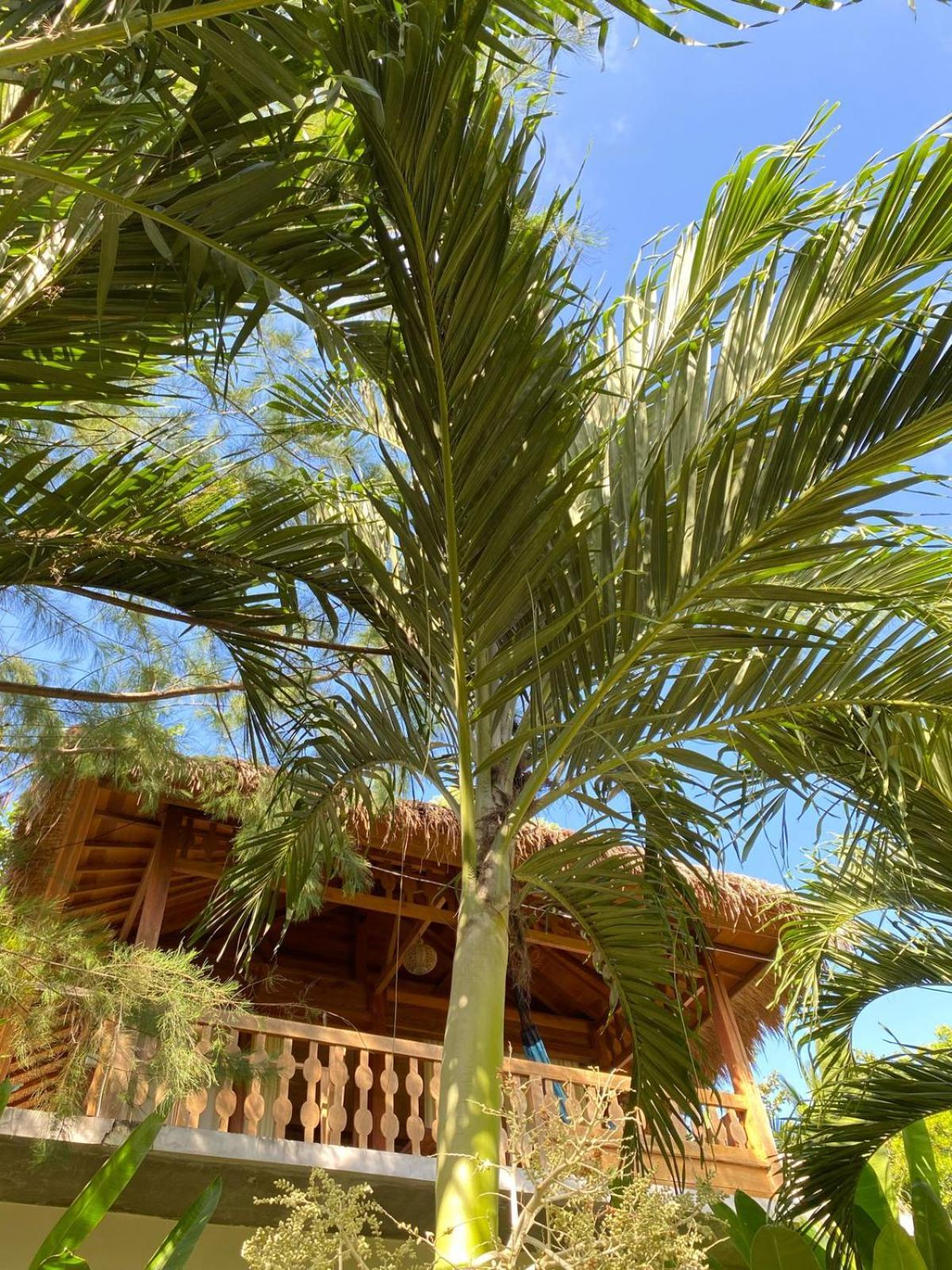 Palm Green Hotel Kuta  Zewnętrze zdjęcie